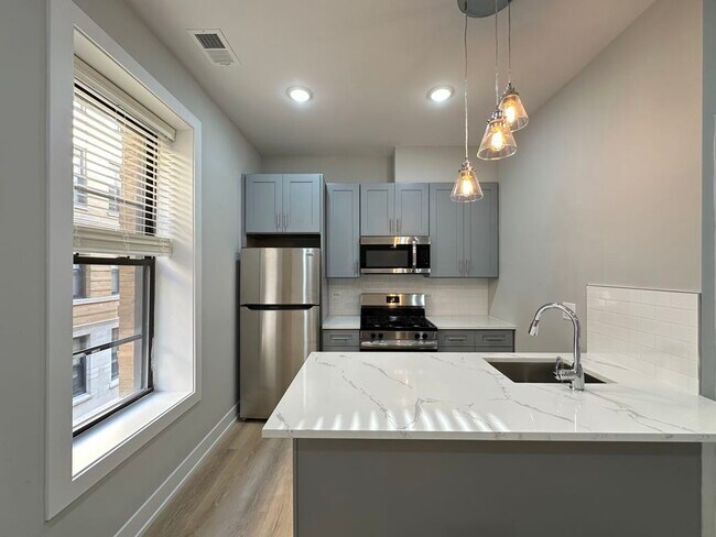 443 W Belden Ave in Chicago, IL - Building Photo - Building Photo
