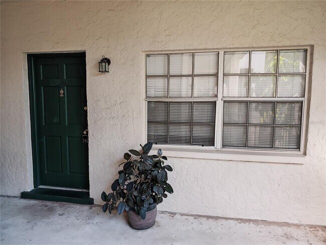 4325 Aegean Dr in Tampa, FL - Building Photo - Building Photo