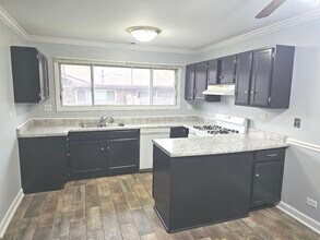 1105 Fulton Dr in Streamwood, IL - Building Photo - Building Photo
