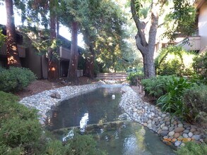 151 Buckingham Dr, Unit 297 in Santa Clara, CA - Foto de edificio - Building Photo