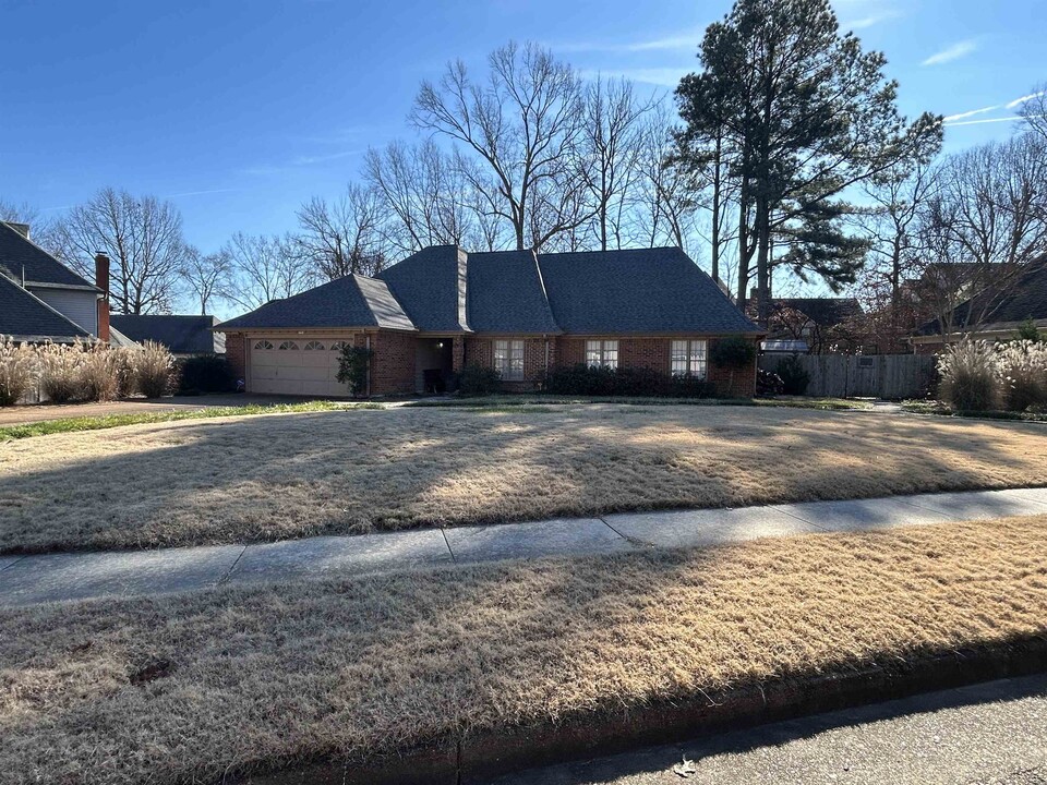 8787 Cherry Spring Dr in Memphis, TN - Building Photo