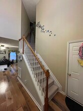 3626 White Pine Dr in Lexington, KY - Building Photo - Building Photo