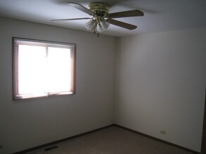 116 W Wood St, Unit 3 - Penthouse in Palatine, IL - Building Photo - Building Photo