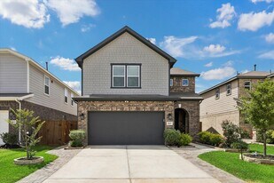 25227 Sierra Mnr Ct in Katy, TX - Building Photo