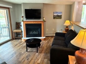 1173 Ski Hill Rd in Breckenridge, CO - Building Photo