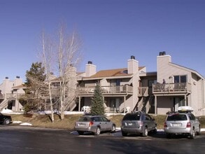 203 E Meadow Mile in Fraser, CO - Building Photo - Building Photo