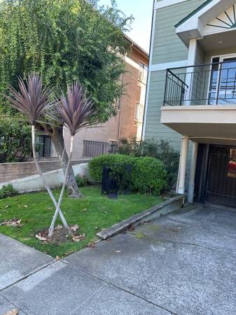 1405 Oak Grove Ave in Burlingame, CA - Building Photo - Building Photo