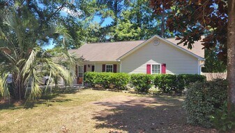 254 Buff Ct in Leland, NC - Building Photo