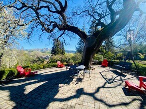 20 Cole Ct in Alamo, CA - Building Photo - Building Photo