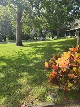 2897 Thaxton Dr in Palm Harbor, FL - Building Photo - Building Photo