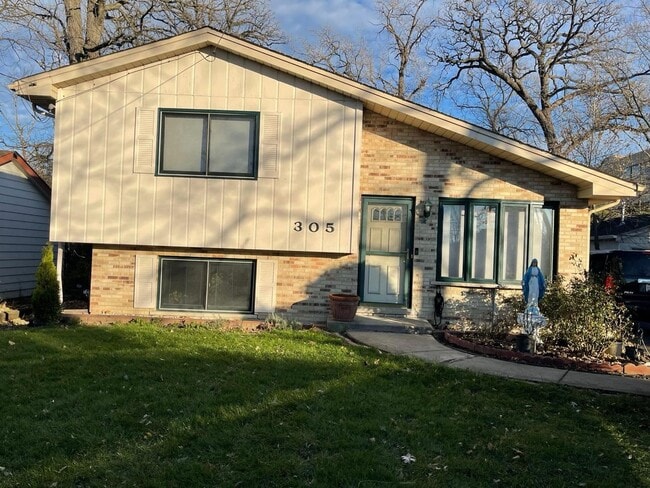 305 River Glen Ave in Elmhurst, IL - Building Photo - Building Photo