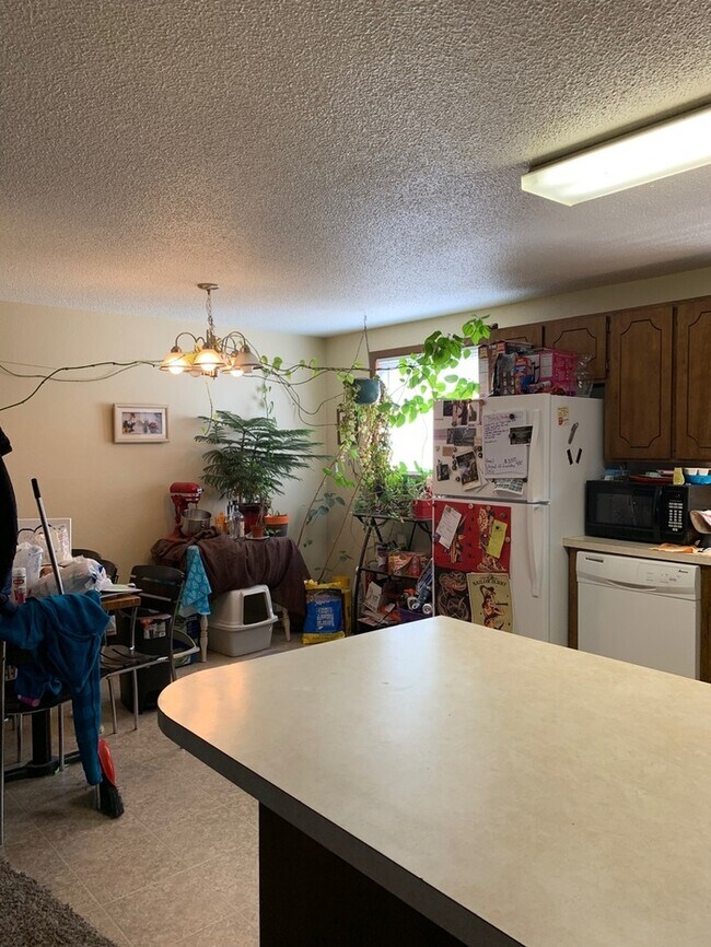 4832 Basswood Dr in Loveland, CO - Building Photo - Building Photo