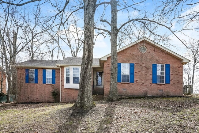 property at 135 Luna Ln