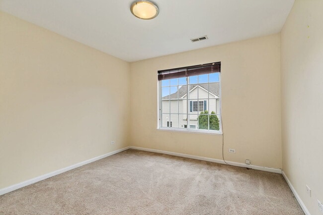 253 Evergreen Cir in Gilberts, IL - Building Photo - Building Photo