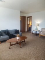 1215 E Elm St in Springfield, MO - Building Photo