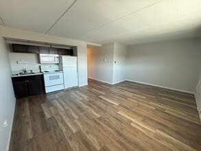 1128 Des Plaines Ave in Forest Park, IL - Foto de edificio - Building Photo