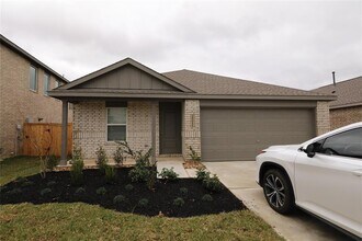 29011 Pearl Barley Wy in Hockley, TX - Building Photo - Building Photo