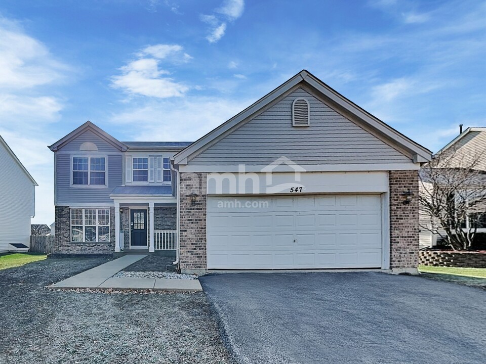 547 Greystone Ln in Bolingbrook, IL - Building Photo