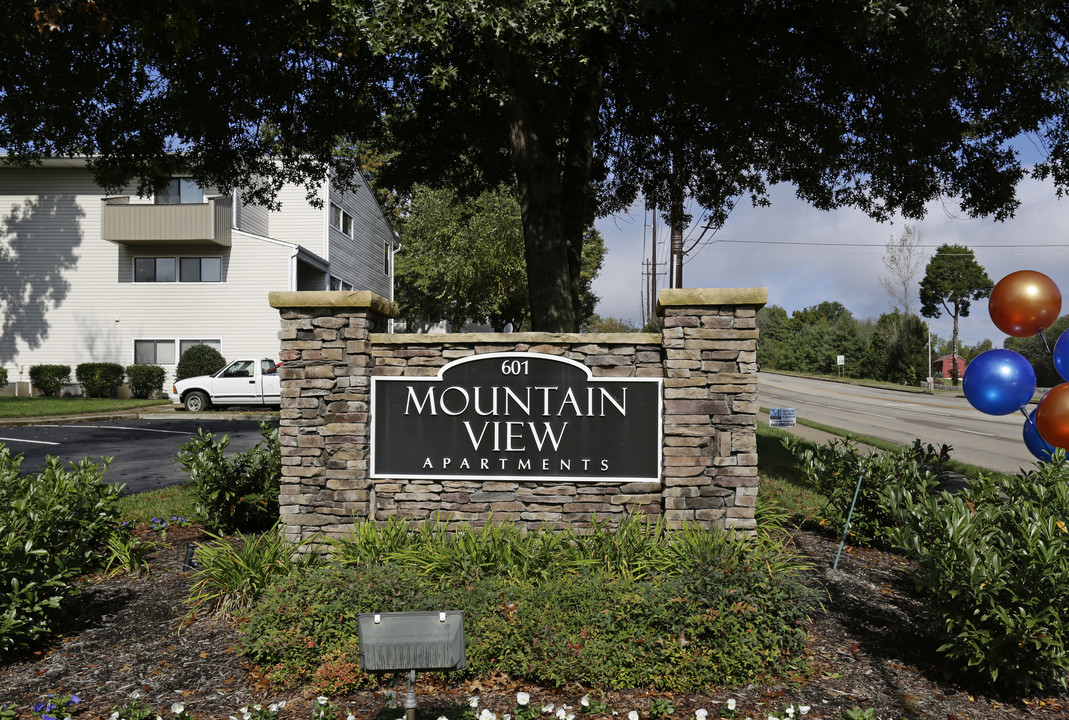 Mountain View in Knoxville, TN - Building Photo