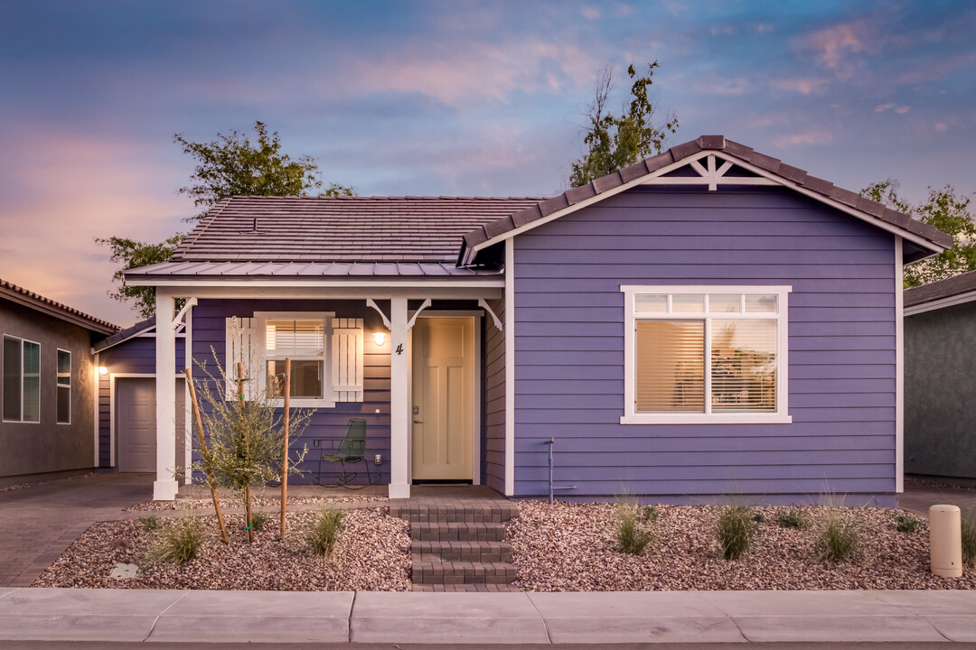 The Village at Brighton Place in Chandler, AZ - Building Photo