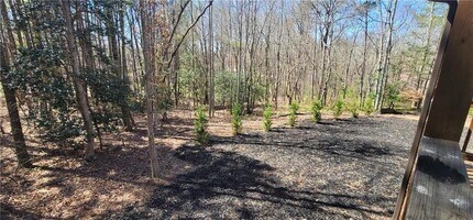 123 Ridge Crest Ct in Ellijay, GA - Building Photo - Building Photo