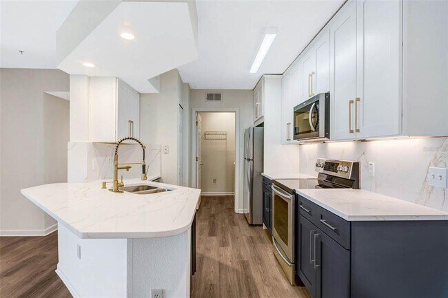 12524 Crest Springs Ln in Orlando, FL - Building Photo - Building Photo