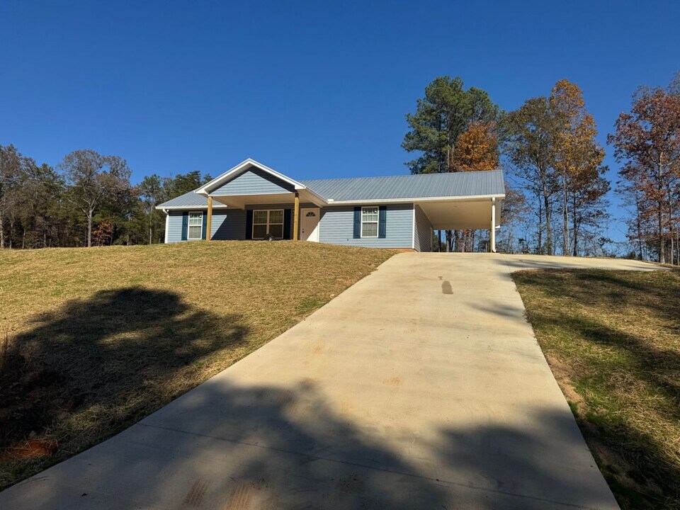 376 Silver Run Rd in Munford, AL - Building Photo