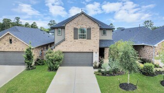 21314 Barcelona Hts Trl in Tomball, TX - Building Photo
