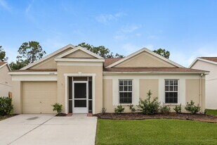 12438 Dawn Vista Dr in Riverview, FL - Building Photo