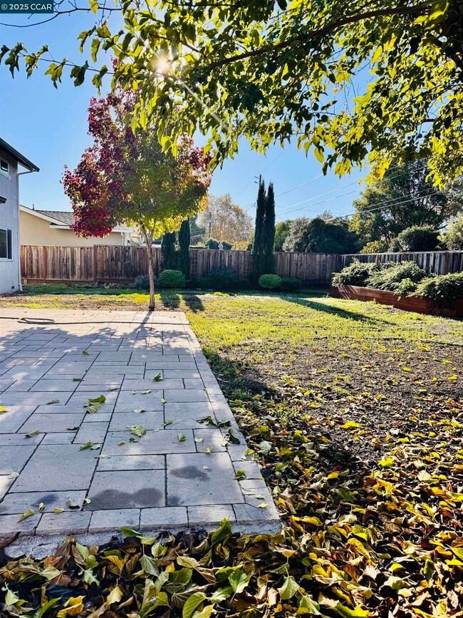 913 Dartmouth Way in Concord, CA - Building Photo - Building Photo