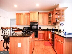 21337 Cameron Hunt Pl in Ashburn, VA - Building Photo - Building Photo