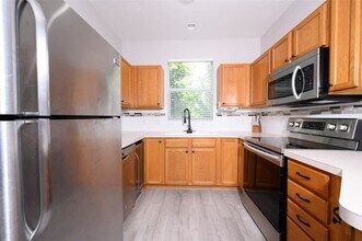 11051 Black Swan Ct in Seffner, FL - Building Photo - Building Photo