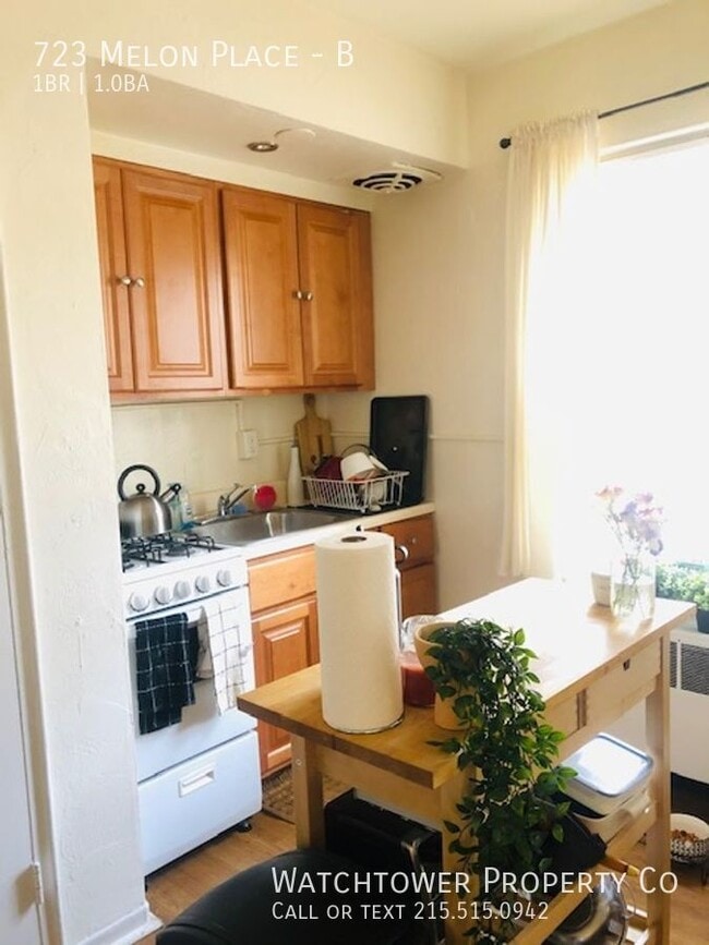 723 Melon Pl in Philadelphia, PA - Building Photo - Building Photo