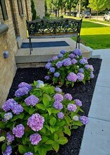 3155 S 39th St, Unit Charming Jackson Park in Milwaukee, WI - Foto de edificio - Building Photo