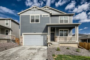 3869 Sandy Vista Trail in Castle Rock, CO - Building Photo