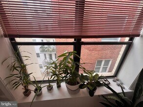 2145 California St NW in Washington, DC - Building Photo - Building Photo