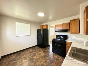 3517-3519 Columbine St in Denver, CO - Building Photo - Building Photo