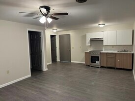 355 S Main St in Albion, NY - Building Photo