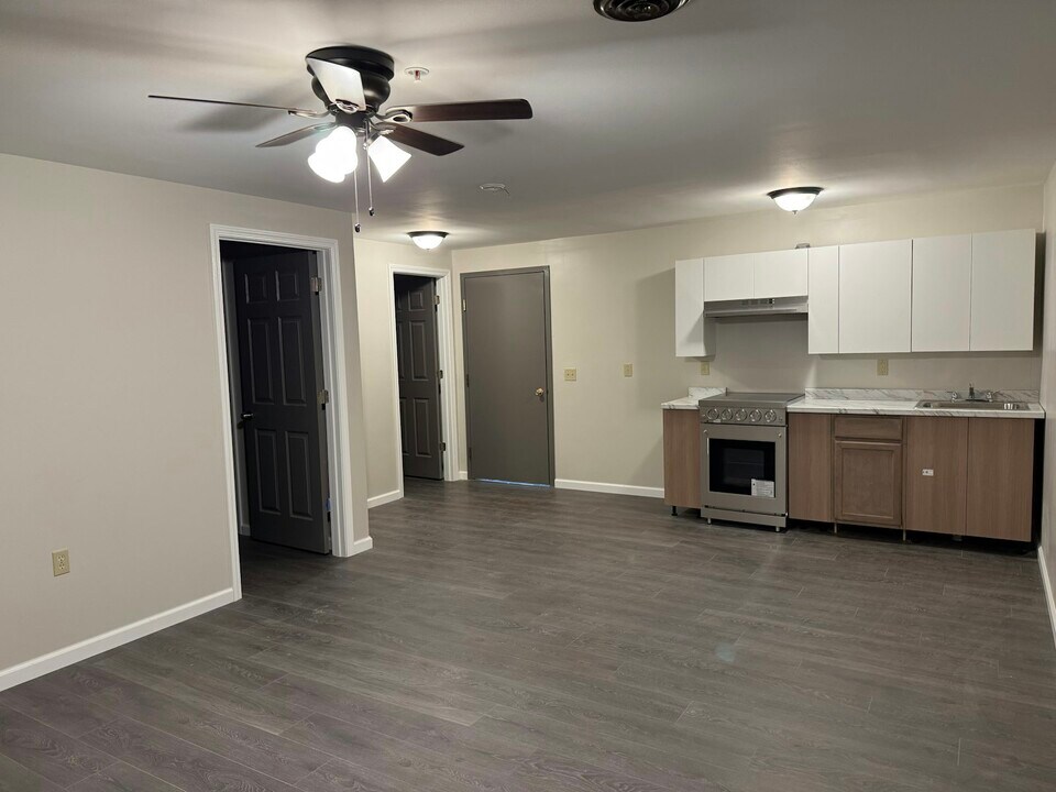 355 S Main St in Albion, NY - Building Photo