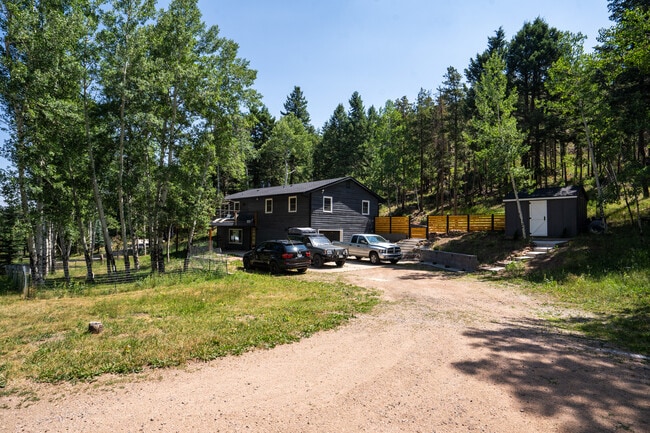 6910 Brook Forest Dr in Evergreen, CO - Building Photo - Building Photo