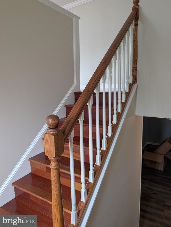 5711 Berwyn Rd in Berwyn Heights, MD - Building Photo - Building Photo