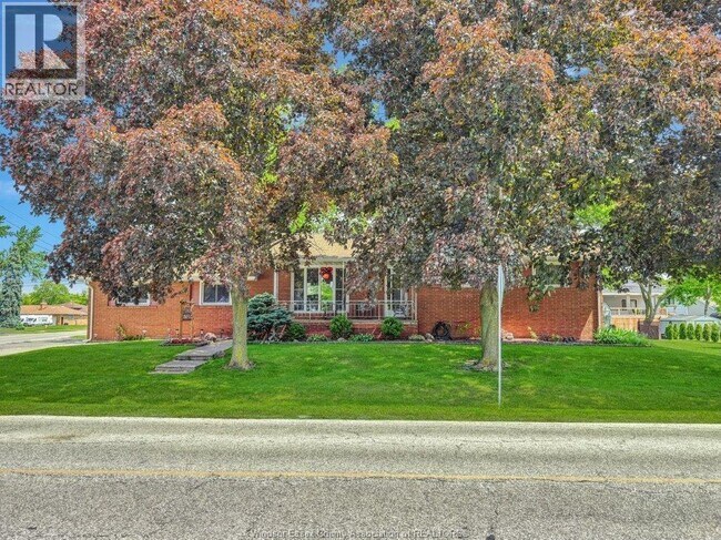 305 Maple Ave in Windsor, ON - Building Photo - Building Photo