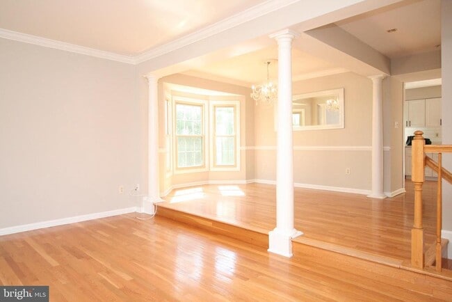 10137 Treble Ct in Rockville, MD - Building Photo - Building Photo