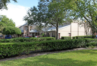 River Park Apartments in Orlando, FL - Building Photo - Building Photo