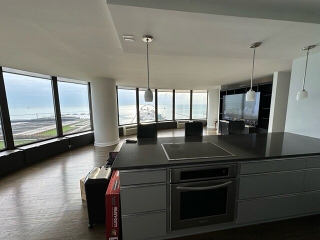 505 N Jean Baptiste Pointe du Sable Lake Shore Dr in Chicago, IL - Building Photo - Building Photo