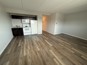 1128 Des Plaines Ave in Forest Park, IL - Building Photo - Building Photo