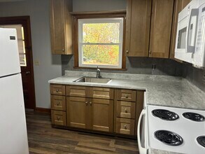 208 Ricker Ave in Greeneville, TN - Foto de edificio - Building Photo