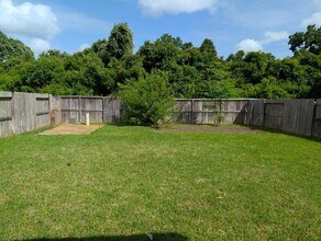 10839 Texas Rose Dr in Missouri City, TX - Building Photo - Building Photo