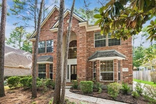 7 Wrens Song Pl in Spring, TX - Building Photo