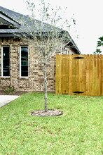 2904 Israel Ave in Alton, TX - Building Photo - Building Photo